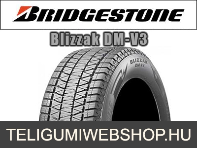 BRIDGESTONE Blizzak DM-V3 - téligumi