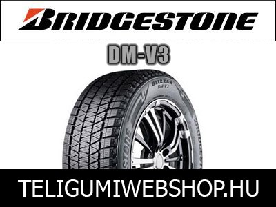 Bridgestone - DM-V3