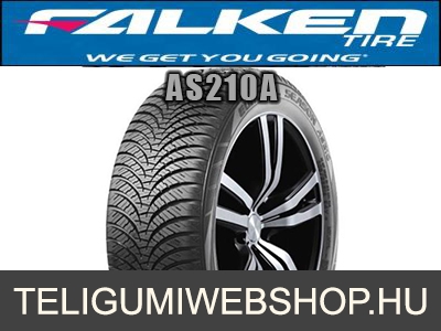 FALKEN AS210A