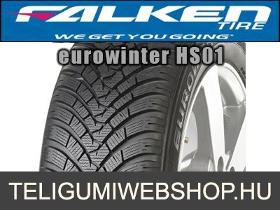 FALKEN HS01 Eurowinter