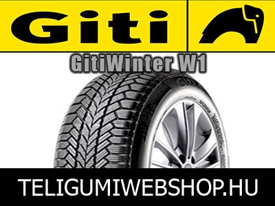 Giti - GitiWinter W1