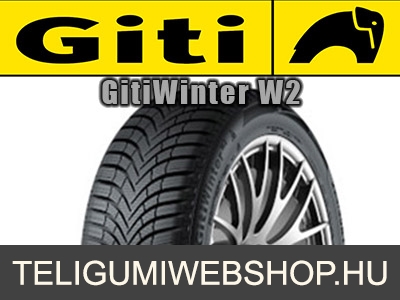 GITI GitiWinter W2