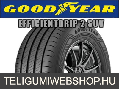 GOODYEAR EFFICIENTGRIP 2 SUV - nyárigumi