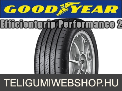 GOODYEAR EFFICIENTGRIP PERFORMANCE 2 - nyárigumi