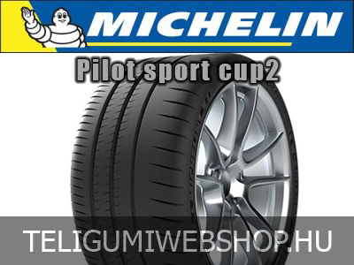 Michelin - PILOT SPORT CUP 2 R