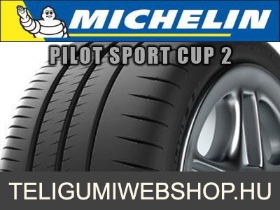 MICHELIN PILOT SPORT CUP 2 - nyárigumi