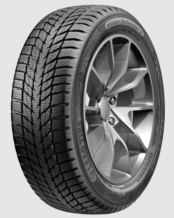 LEAO WINTER DEFENDER 2