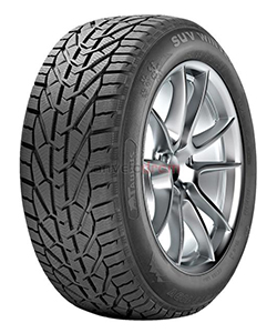 TAURUS SUV WINTER